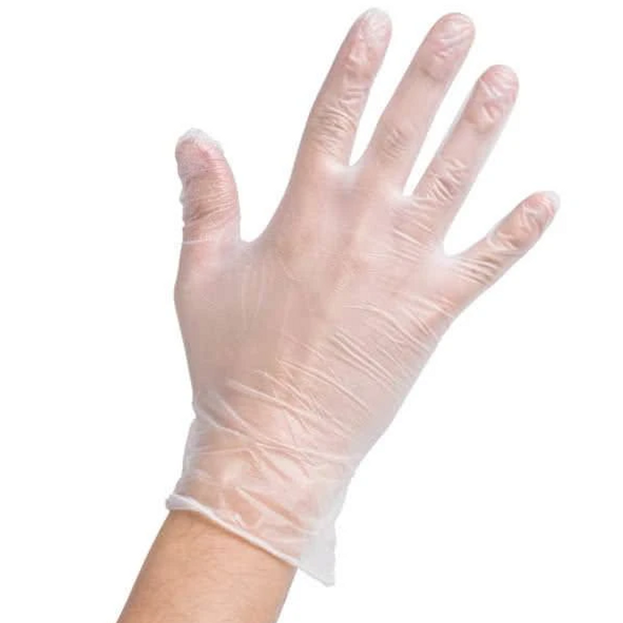 Vinyl Gloves